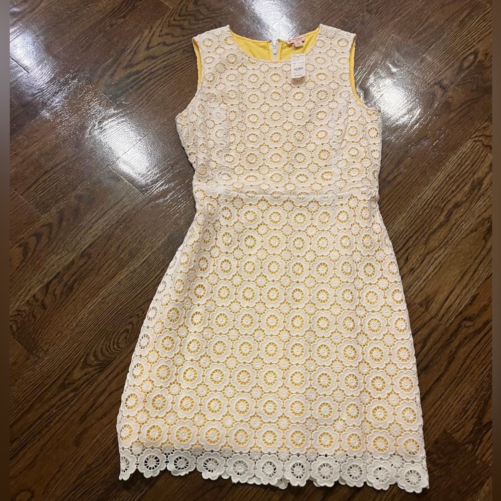Brooks Brothers Women’s Charming Yellow Lace Dress